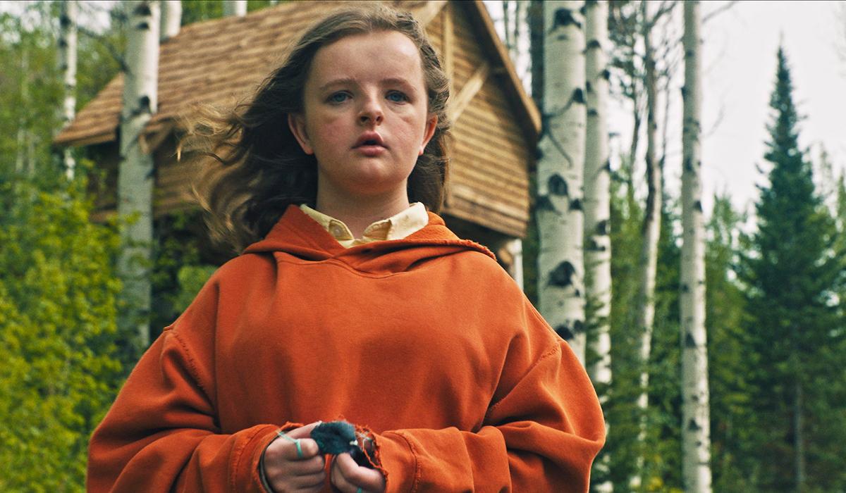 HEREDITARY (2018) - CINE AL AIRE LIBRE